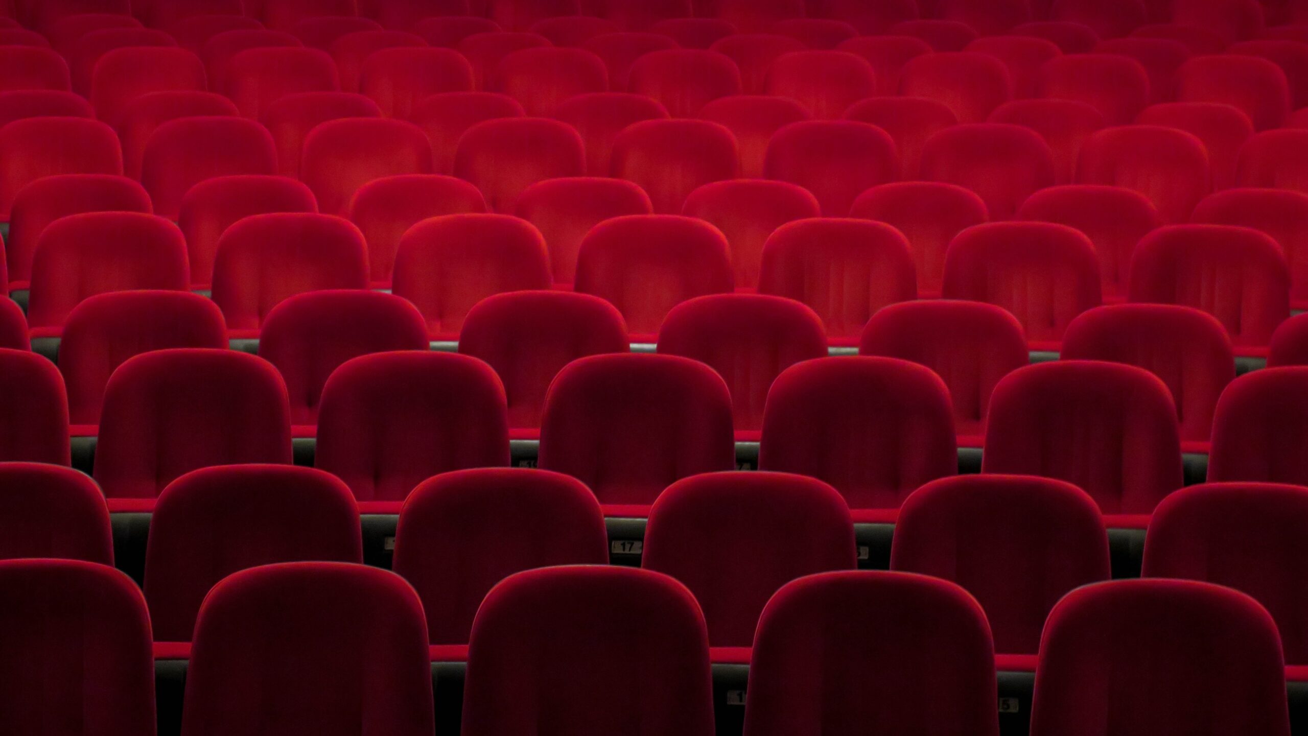 Conférences à Monciné